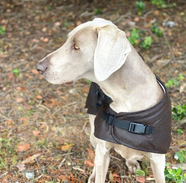 Outback Trading Co (NZ) Clancy Oilskin Dog Coat