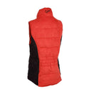 Snowy Mountain Down Vest